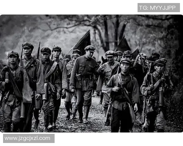 西安排球队阵地战的深度解析与战术运用探讨