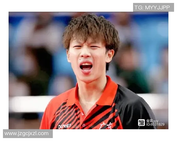 南京乒乓球队技术深度解析与训练方法探讨